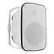 Wall Speaker